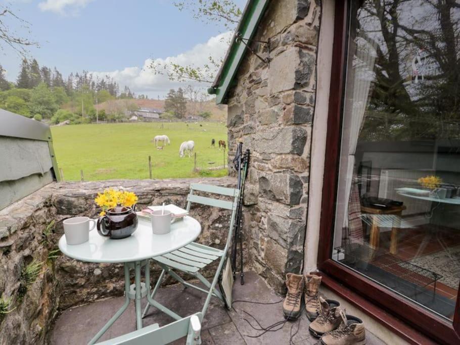 Y Gribyn - Modern Stone Cottage Within Snowdonia'S National Park Dolgellau Exterior foto
