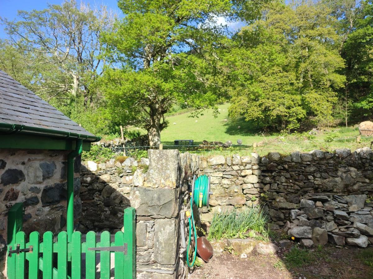 Y Gribyn - Modern Stone Cottage Within Snowdonia'S National Park Dolgellau Exterior foto